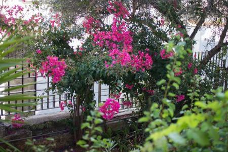 Glyfada Riviera Home Athene Buitenkant foto